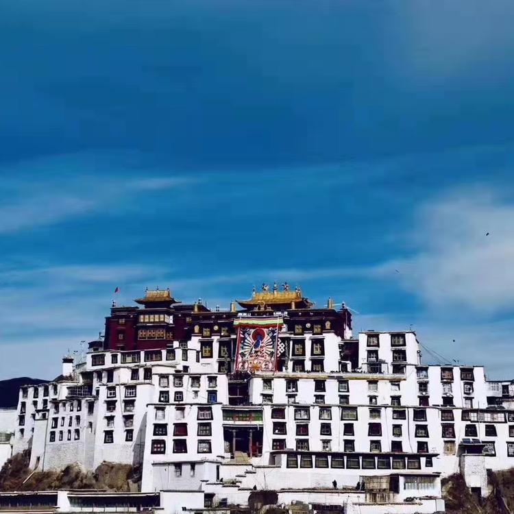 已重置