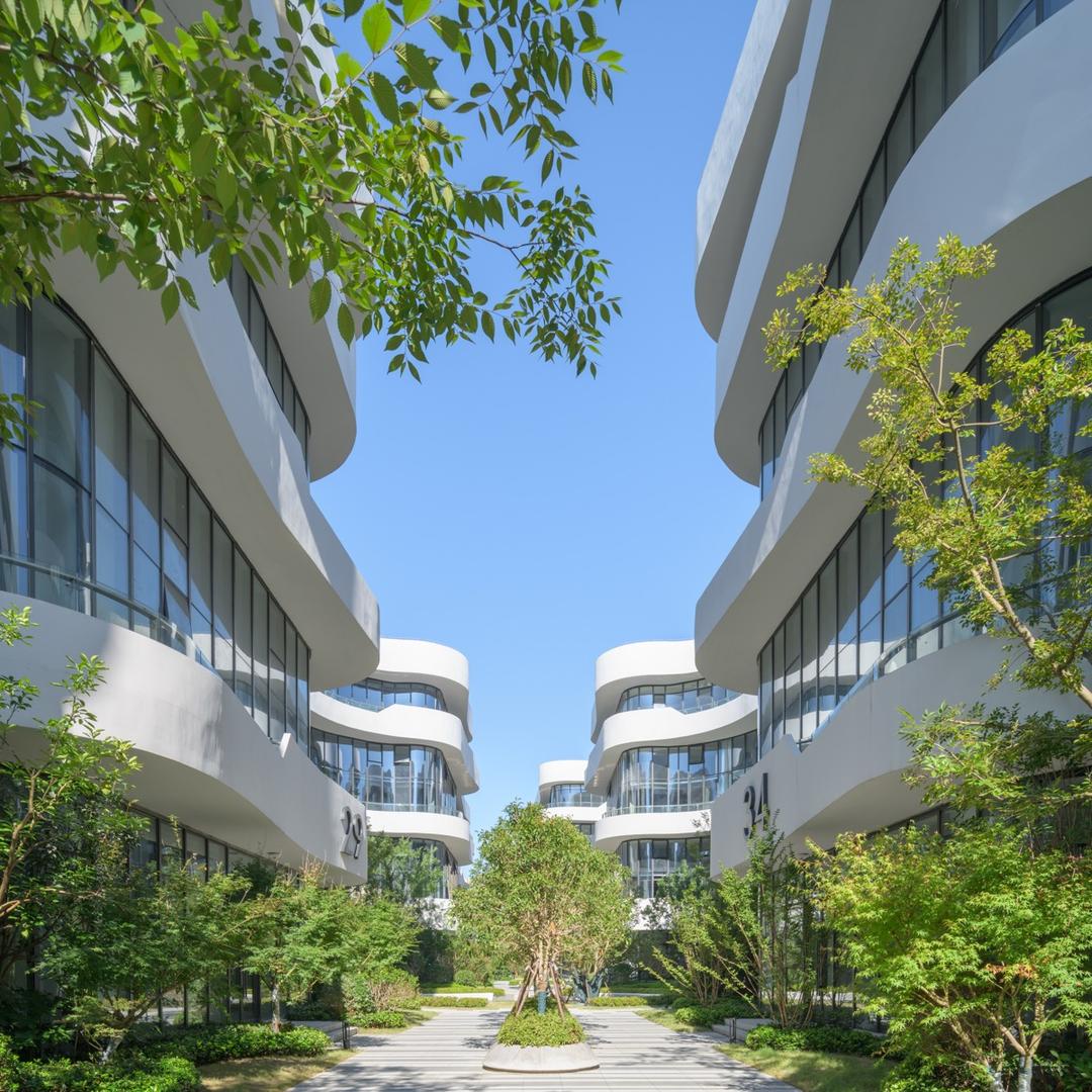 苏州MAX科技园招商经理-杨过