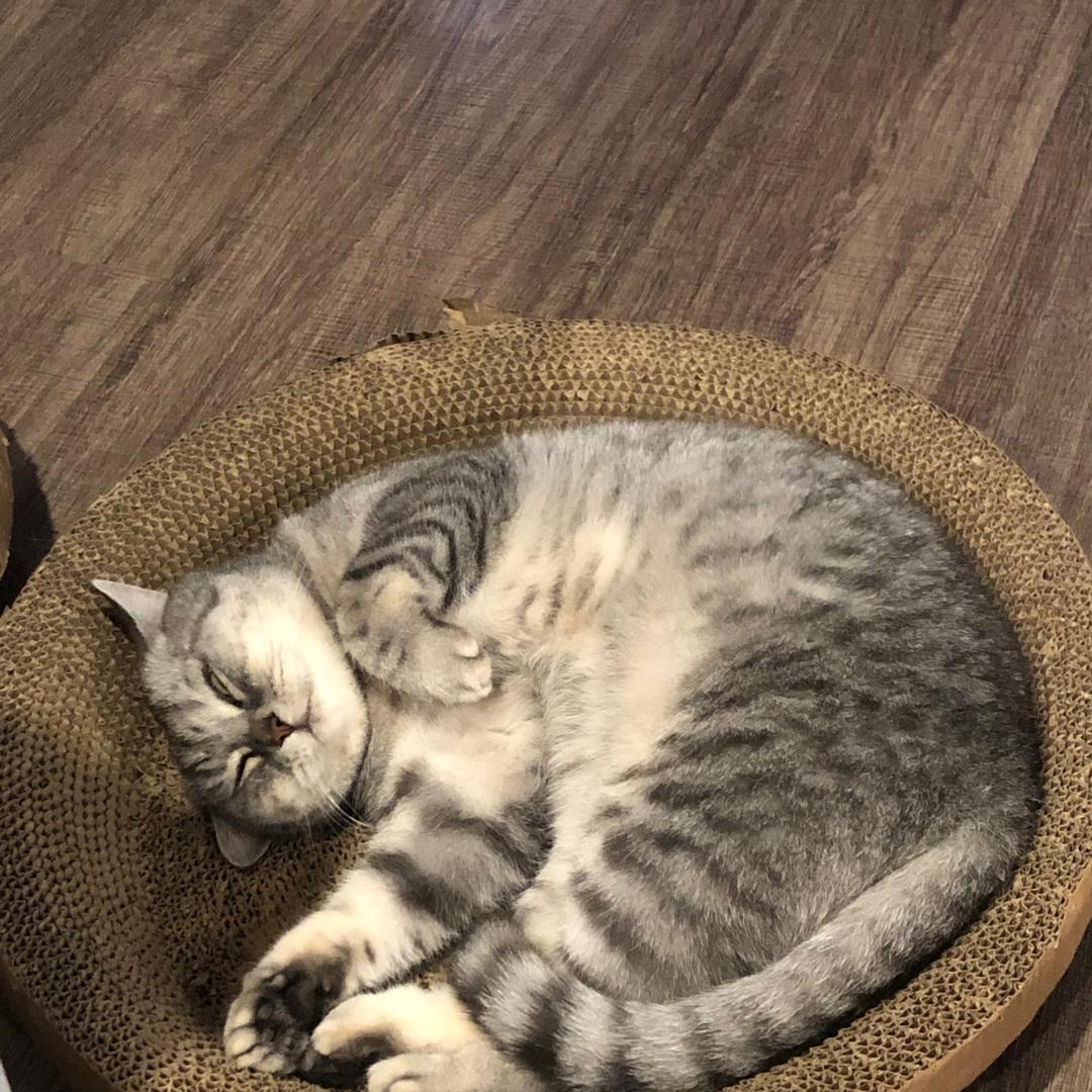 爱你无忧无虑的模样