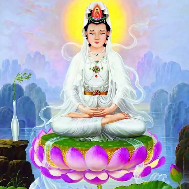 师父讲解知识