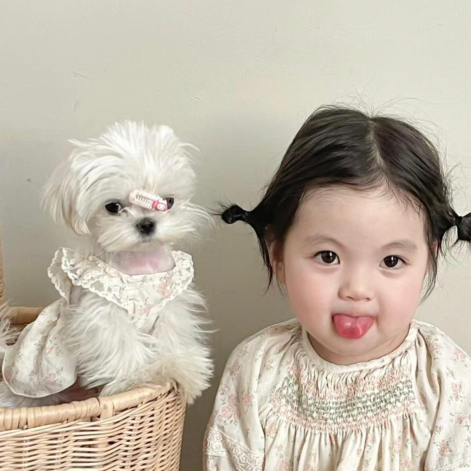 不加糖_