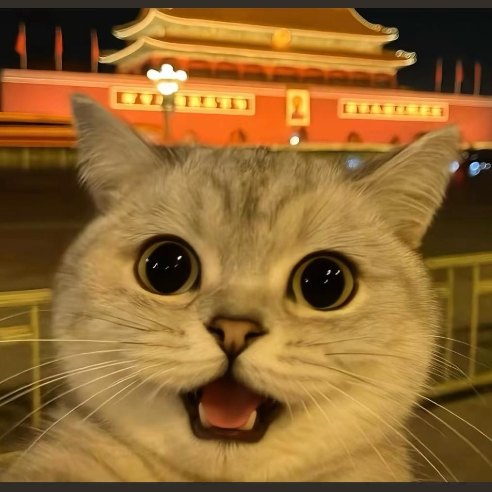 头大心好的男人