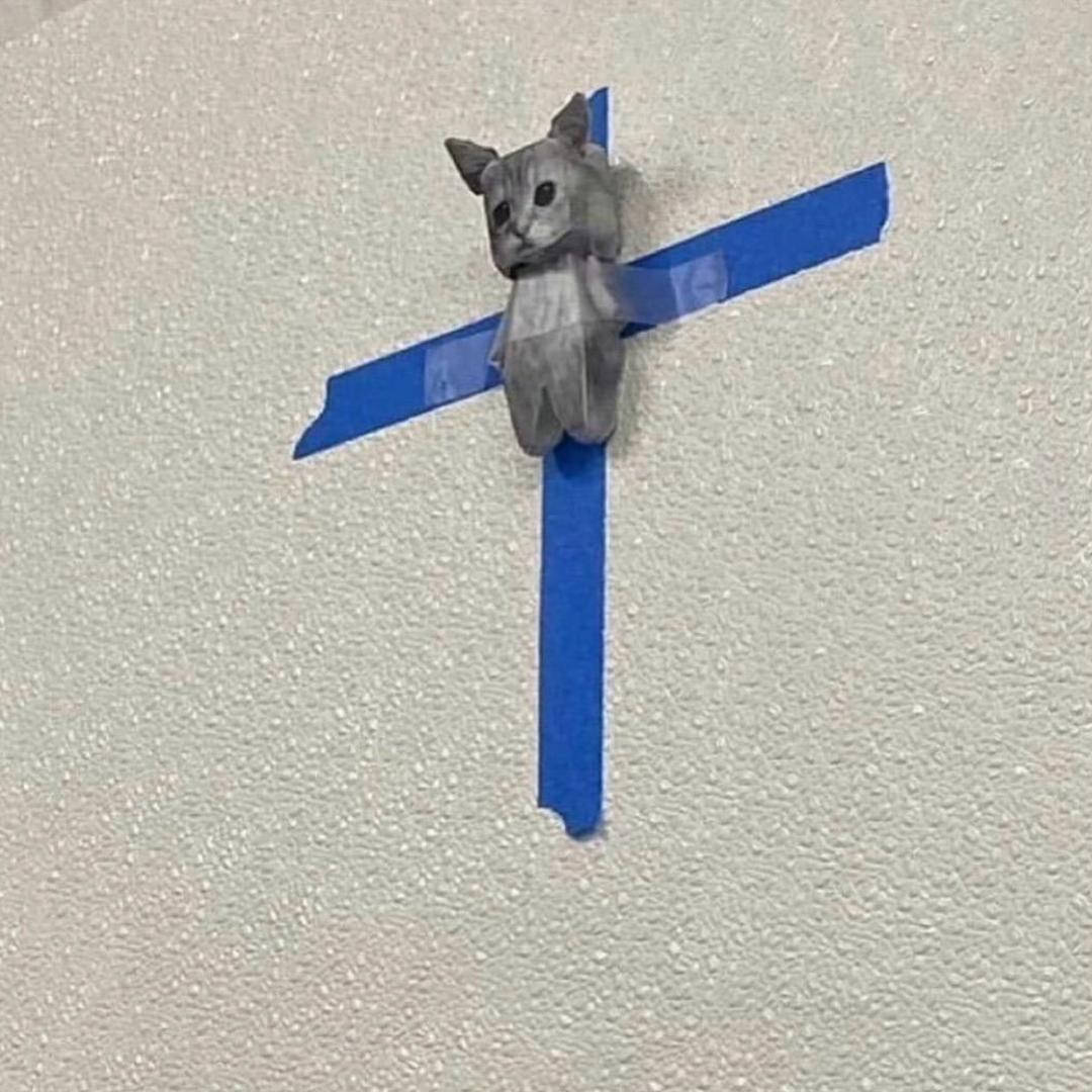 eeee