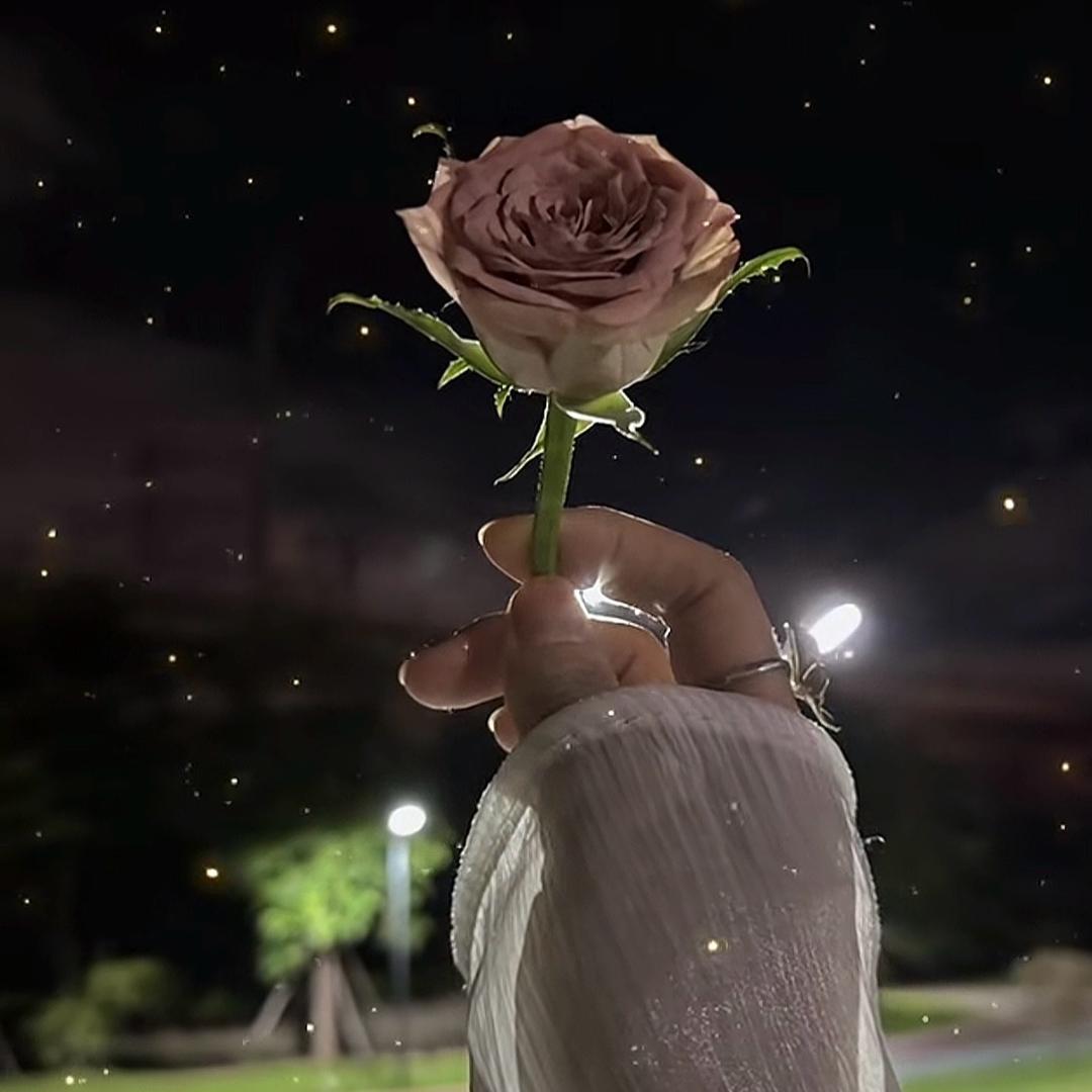 妖精🌹🌹不哭