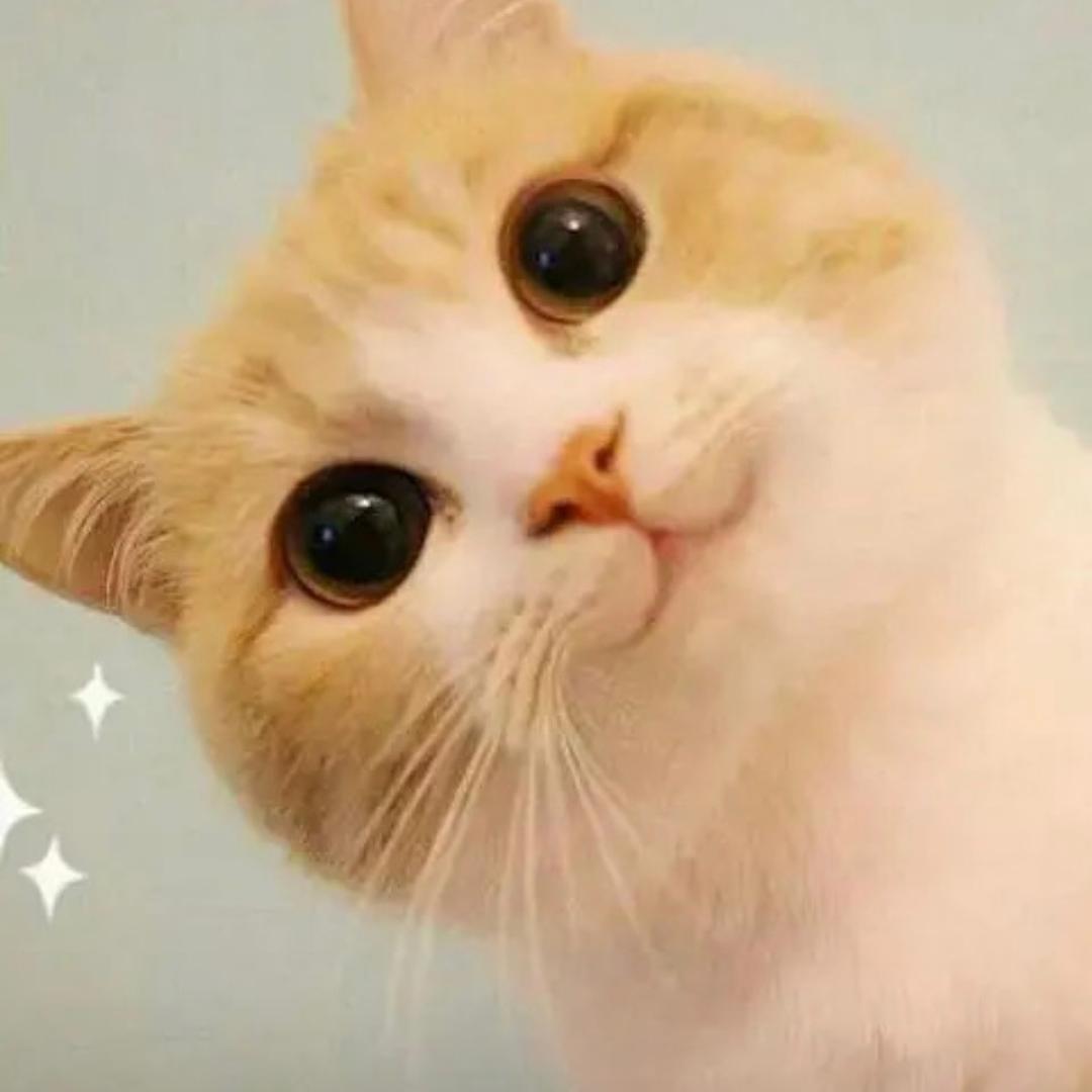 🐱 🌱