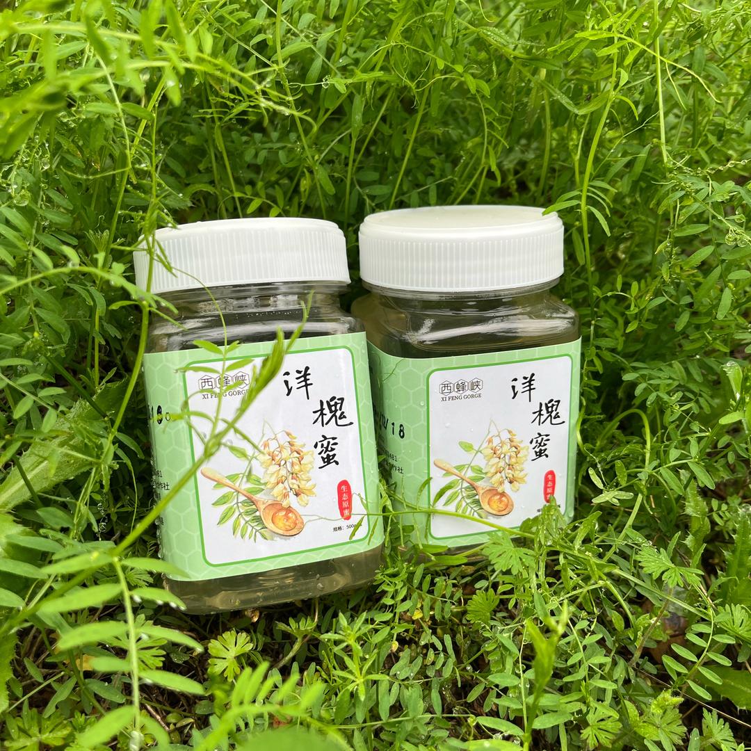 蜜悦家养蜂合作社(蜂场直播)