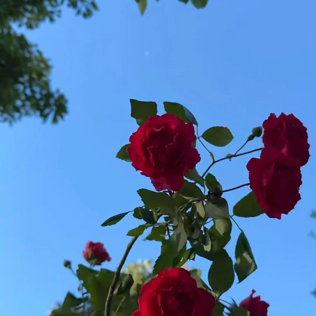 。