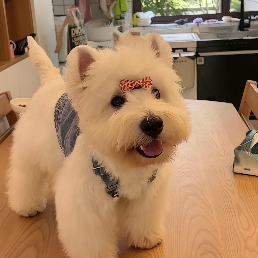 🫧⇞糖⇟果🍼不甜