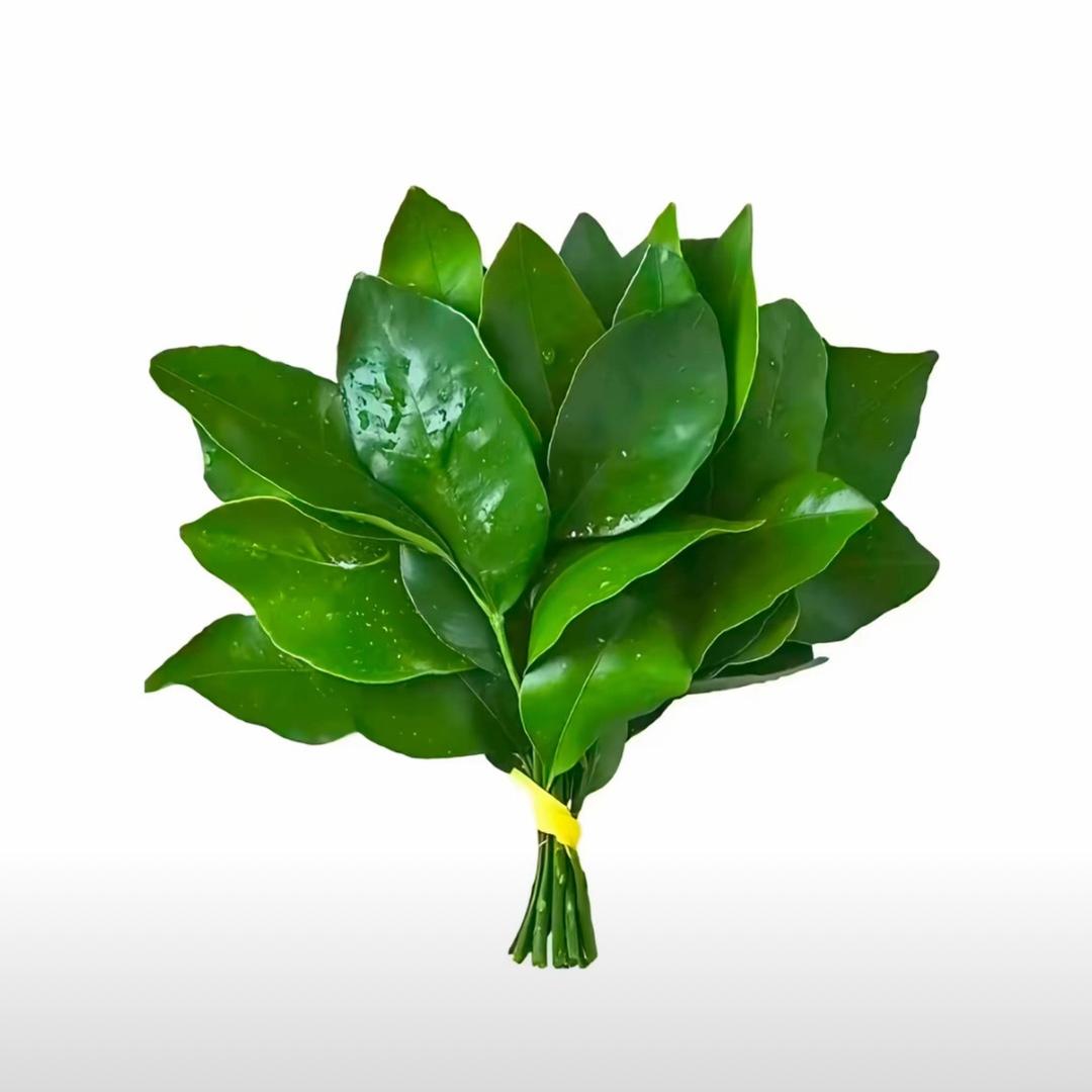 稀奇古怪巴拉巴拉