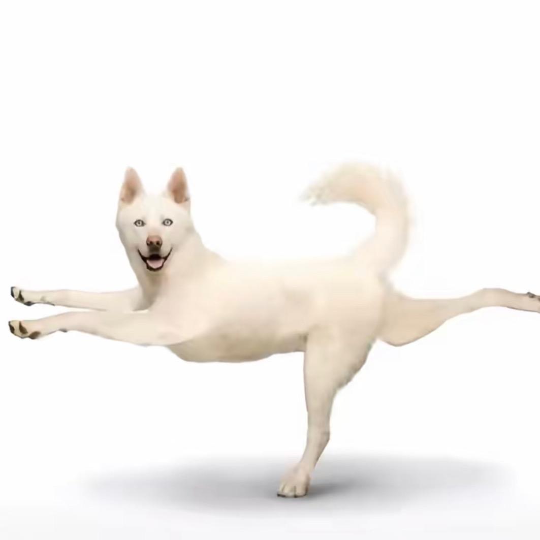 Rrr