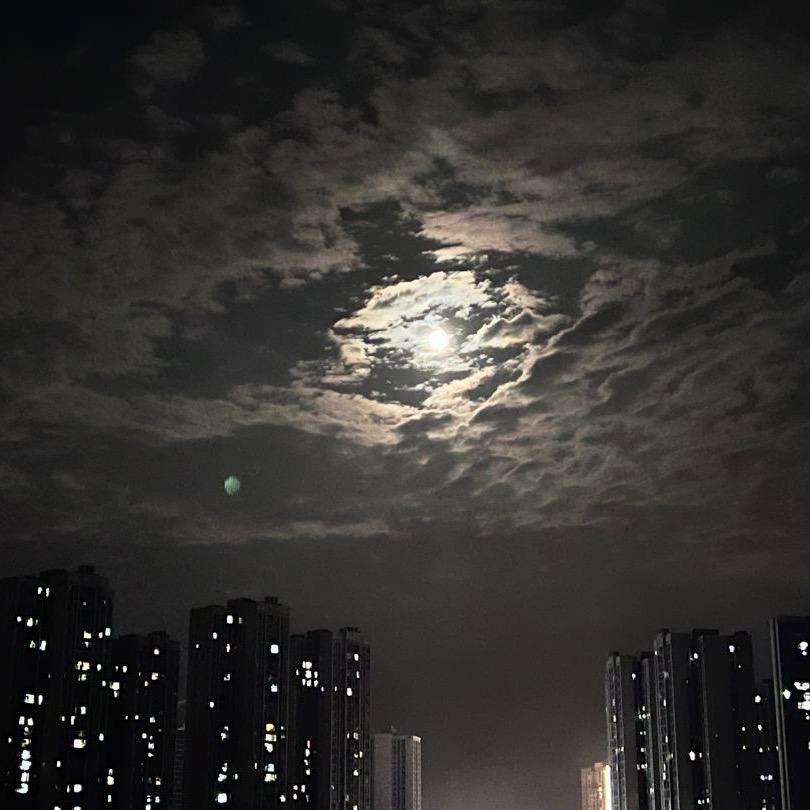 日本专线一手王-林易