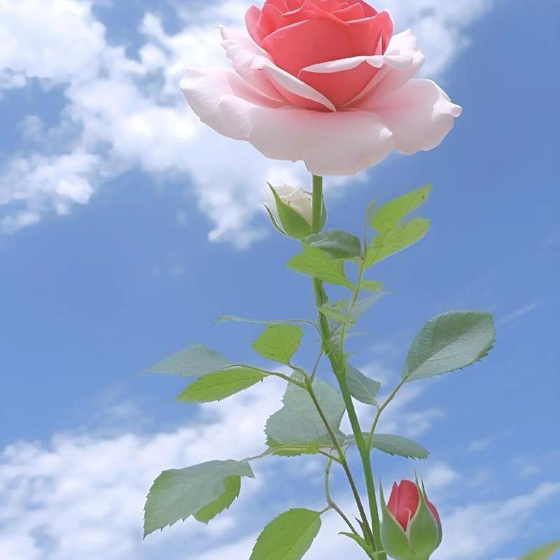 天才城堡时尚童品