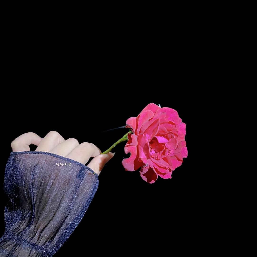 贝💞贝🥀