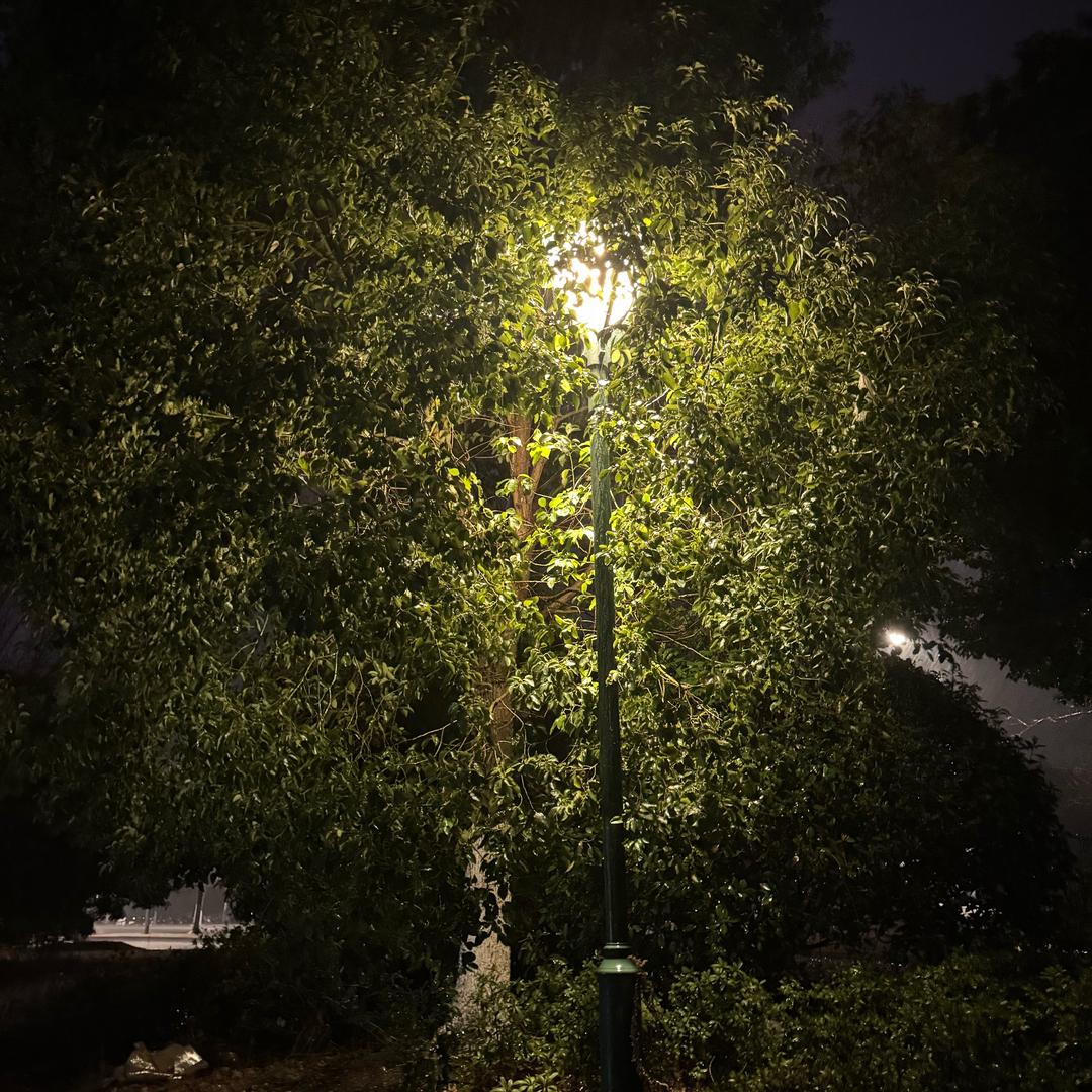 龙湾湖露营基地