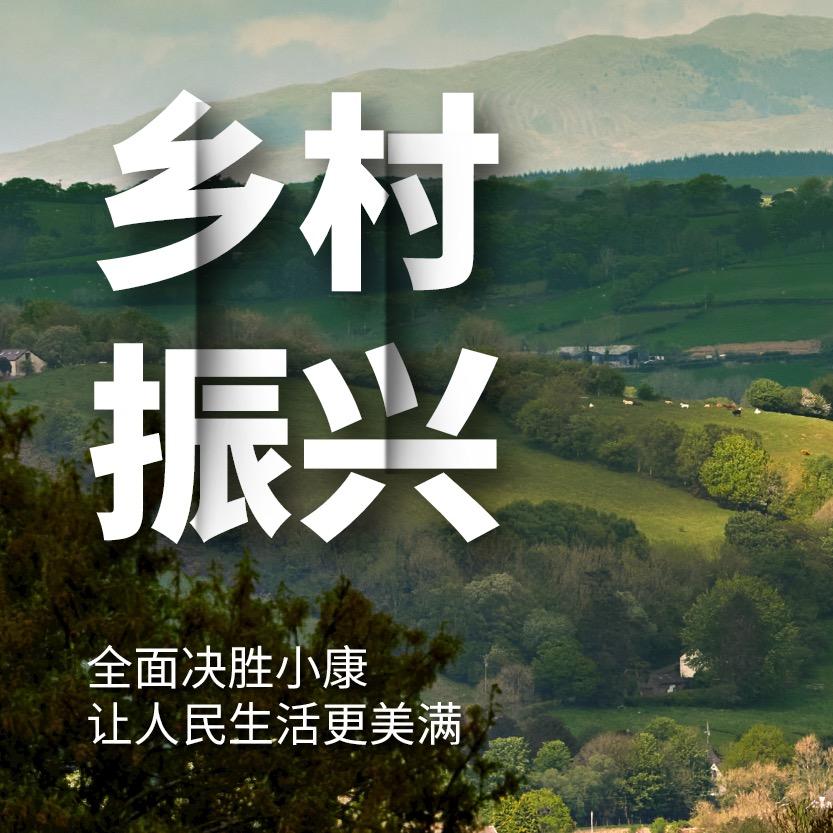 振兴乡村经济