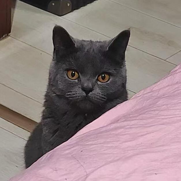 头头爱喝冰可乐🌙