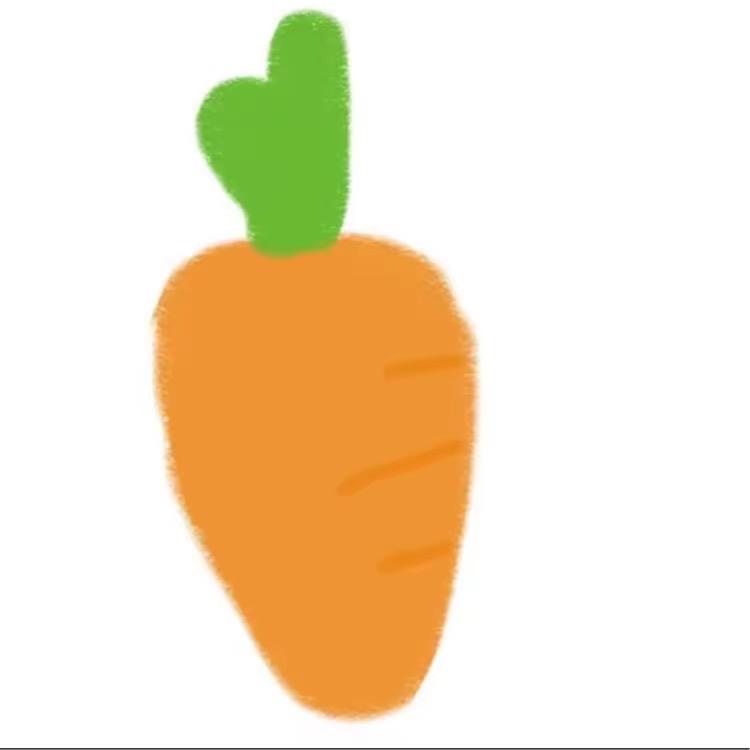 胡萝卜🥕