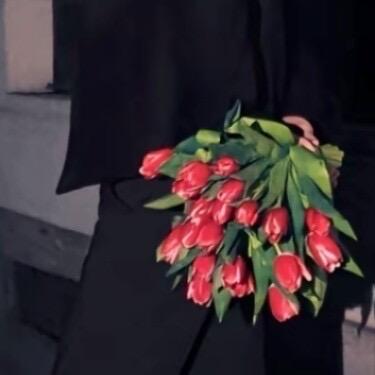 🌸山茶花读不懂白玫瑰🌸