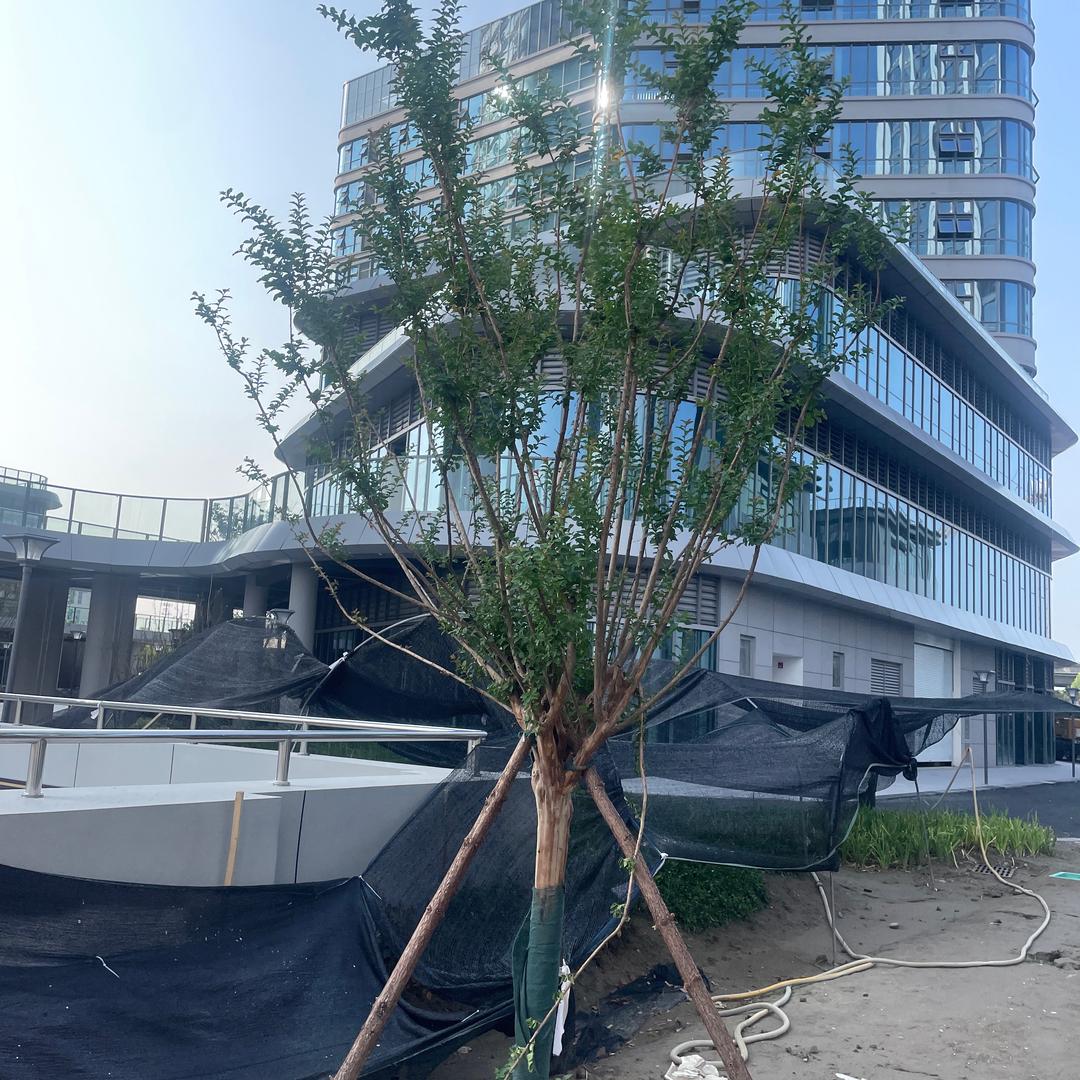 杭州刘德华