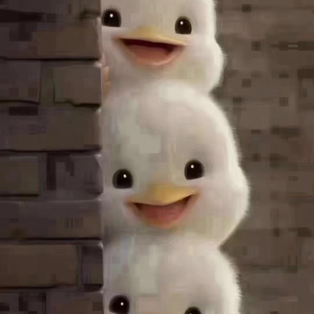 🥭🥭🥭🥭🥭🐣