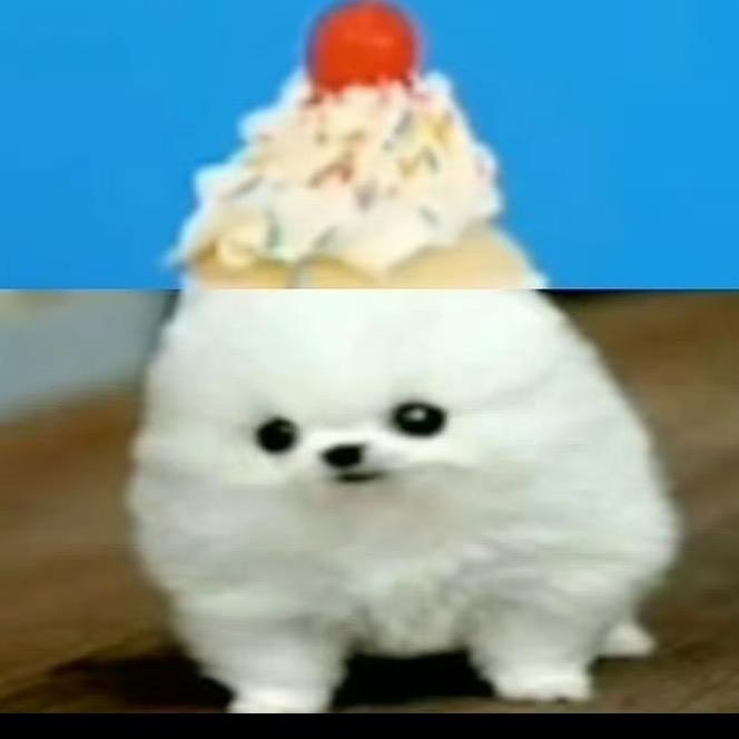 111119