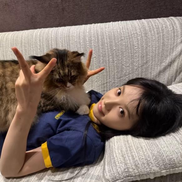 性感母蟑螂.