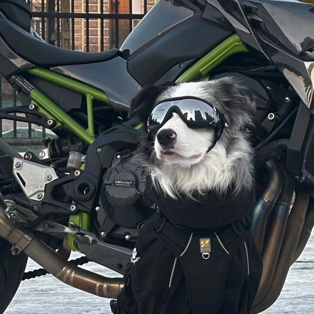 海绵宝宝👶🏻