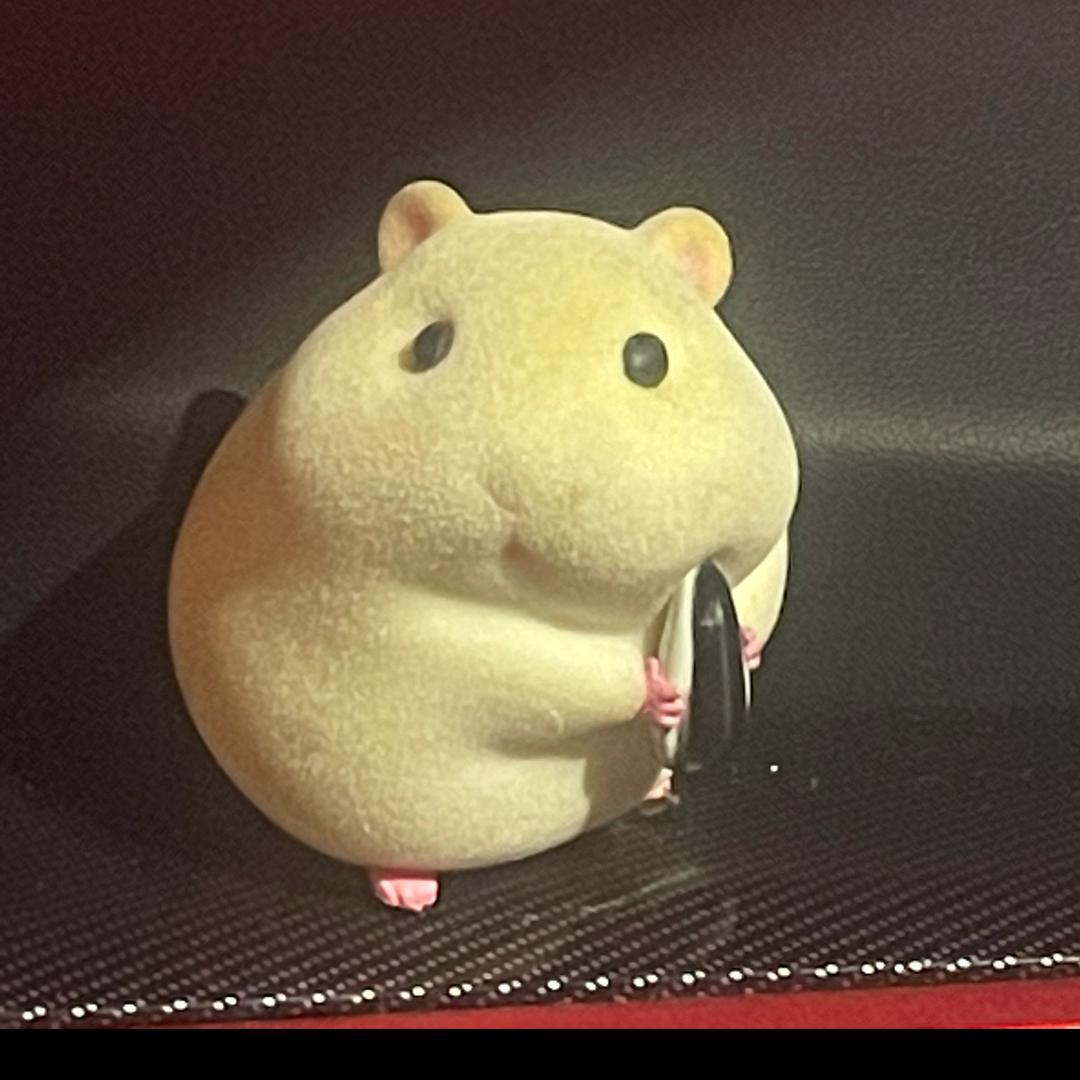 总要做点什么