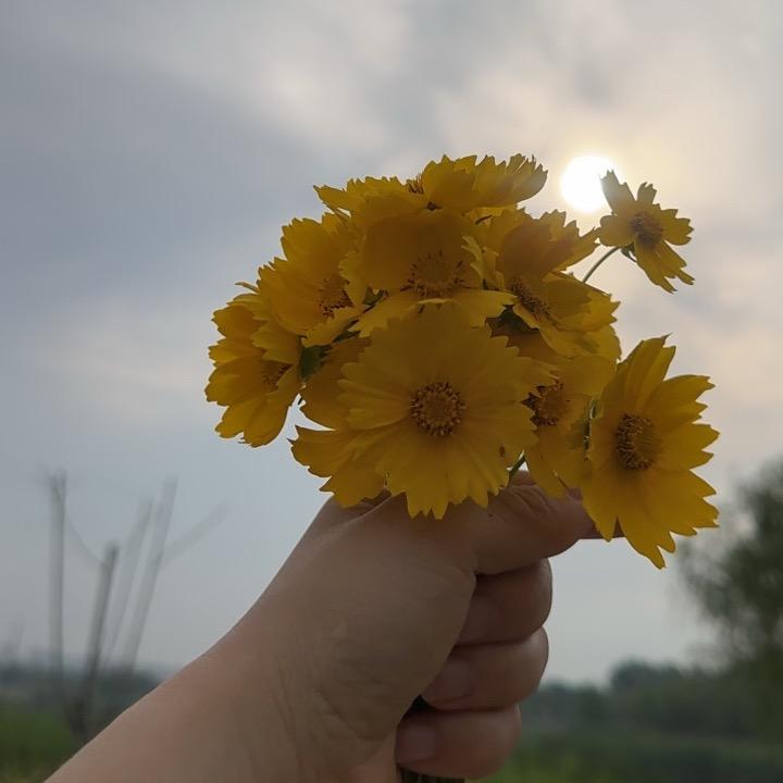 静待花开