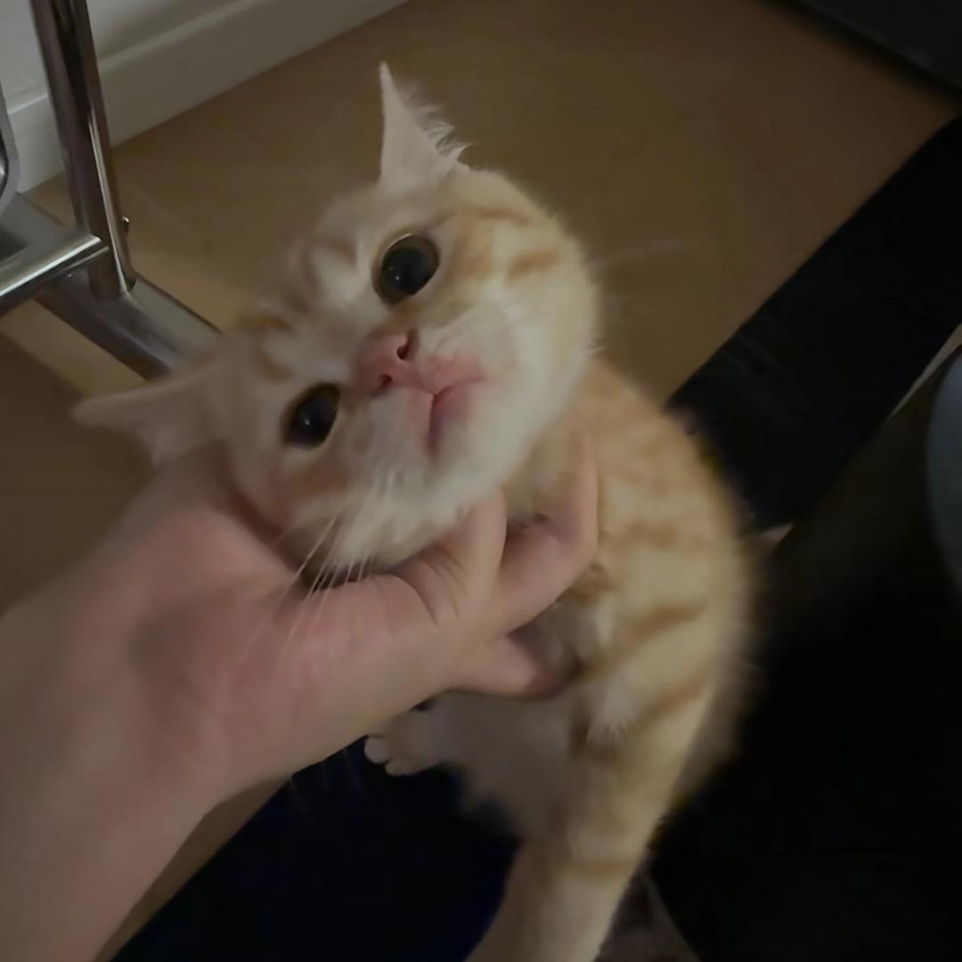 转眼间.