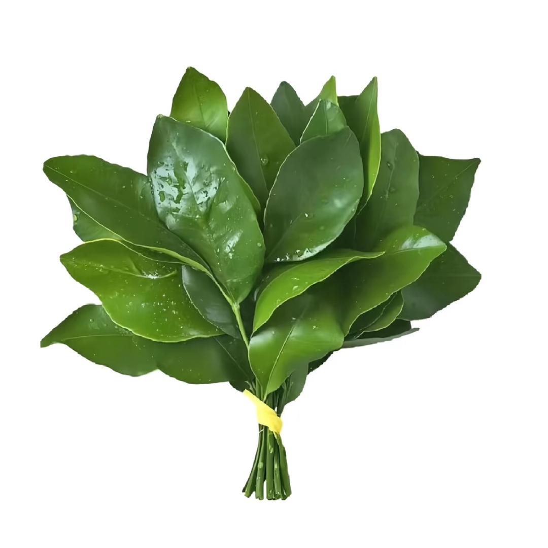 柚子柚