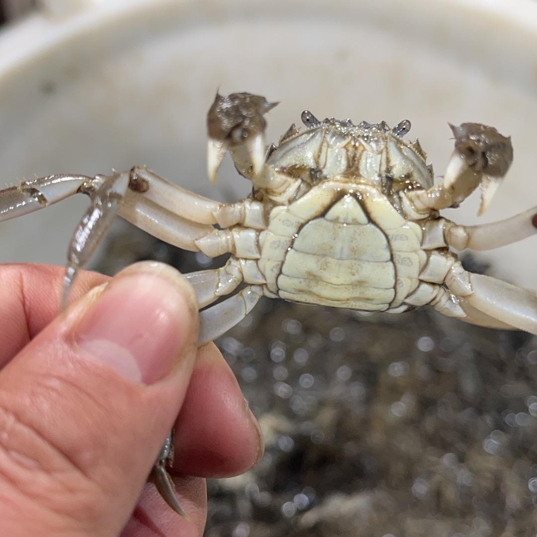 启东乾荣水产养殖有限公司