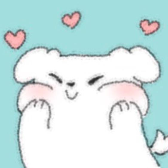 小板砖🧱（19号生日版）
