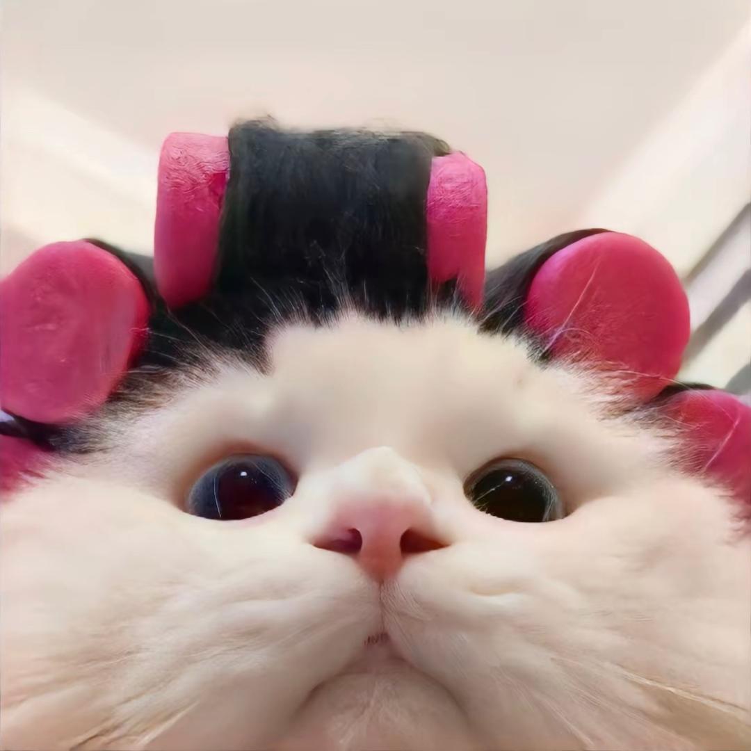 z.y