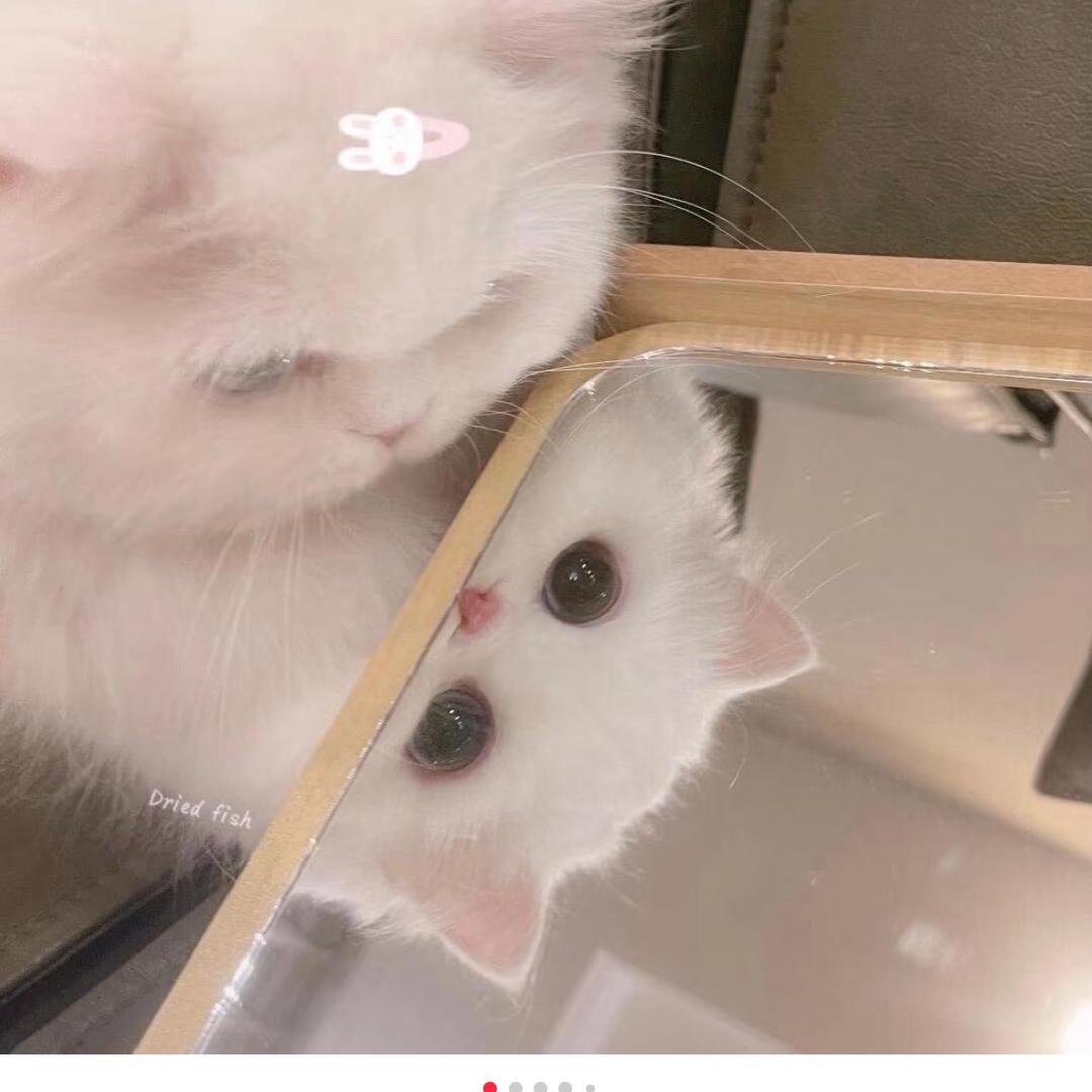 鹿