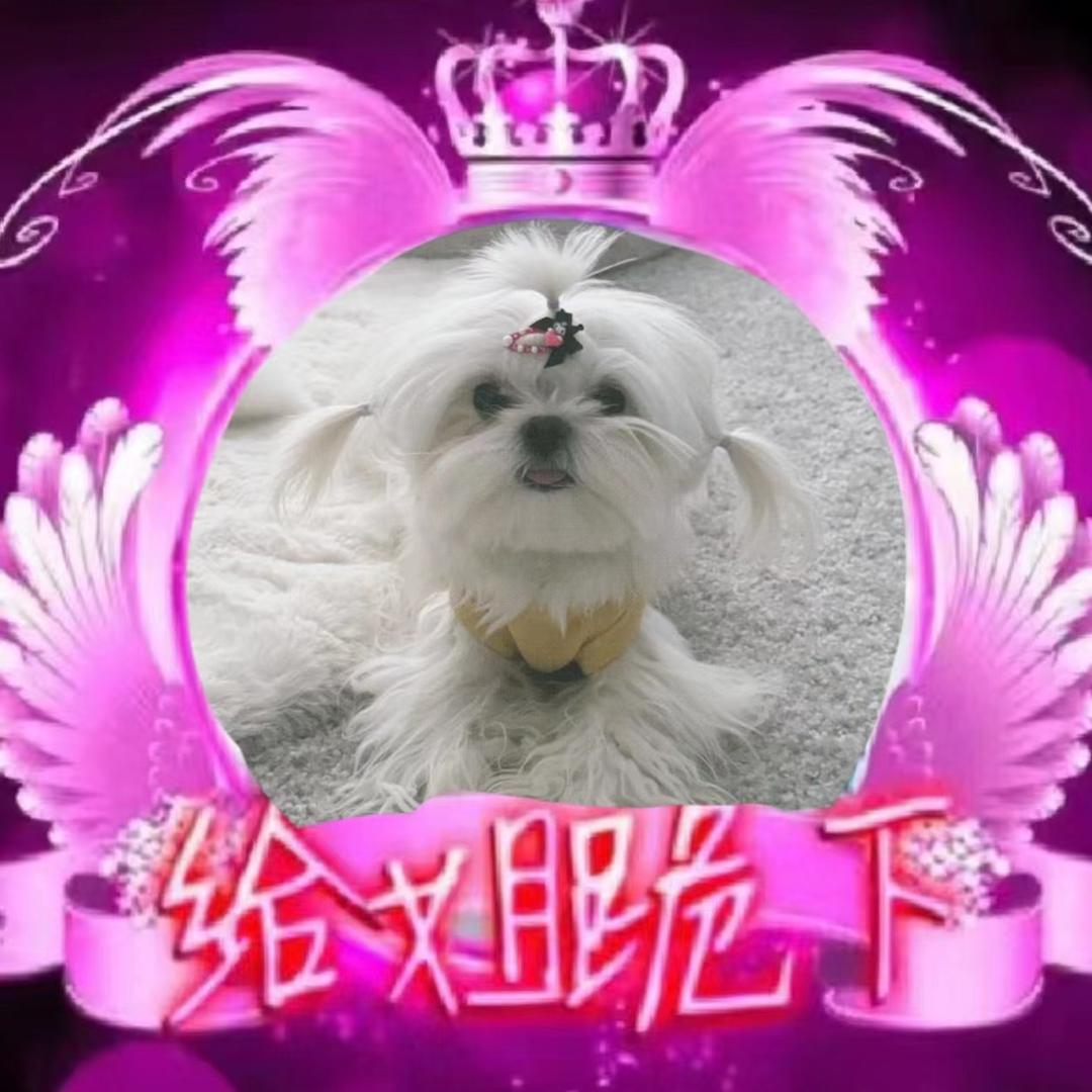 下凡冲浪辛苦了-