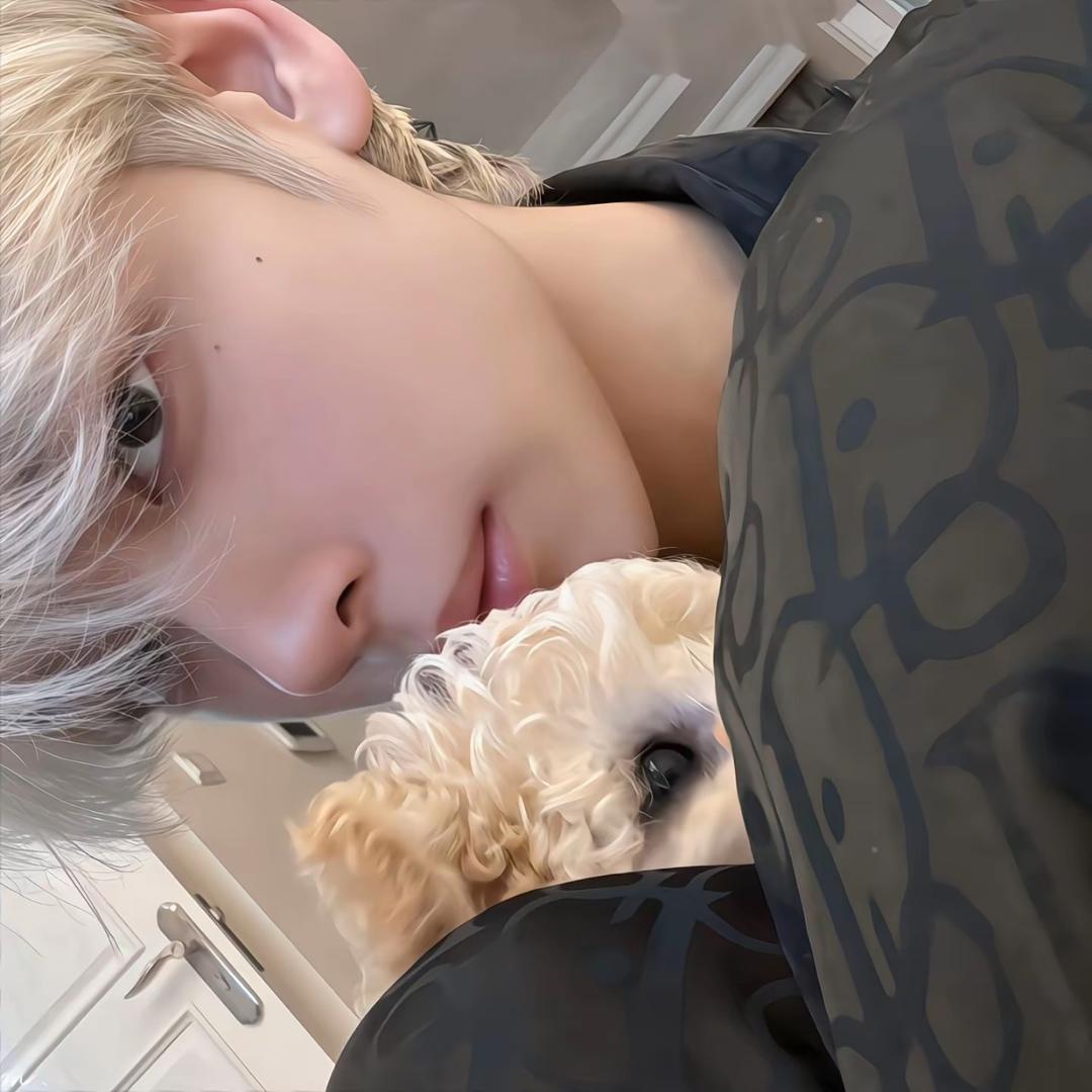 小翼🐺