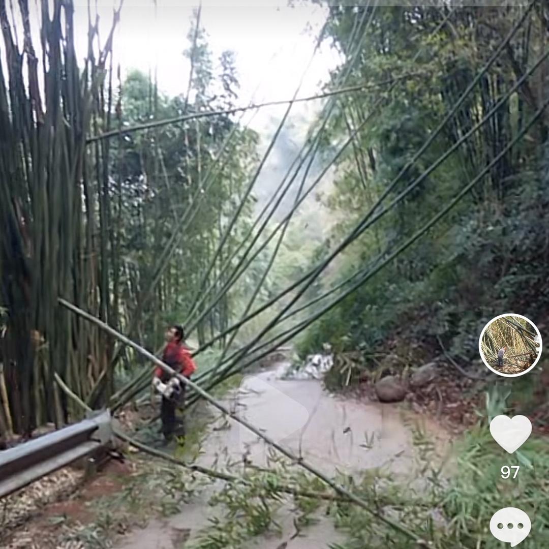 强哥哥命苦很高兴认识友友们