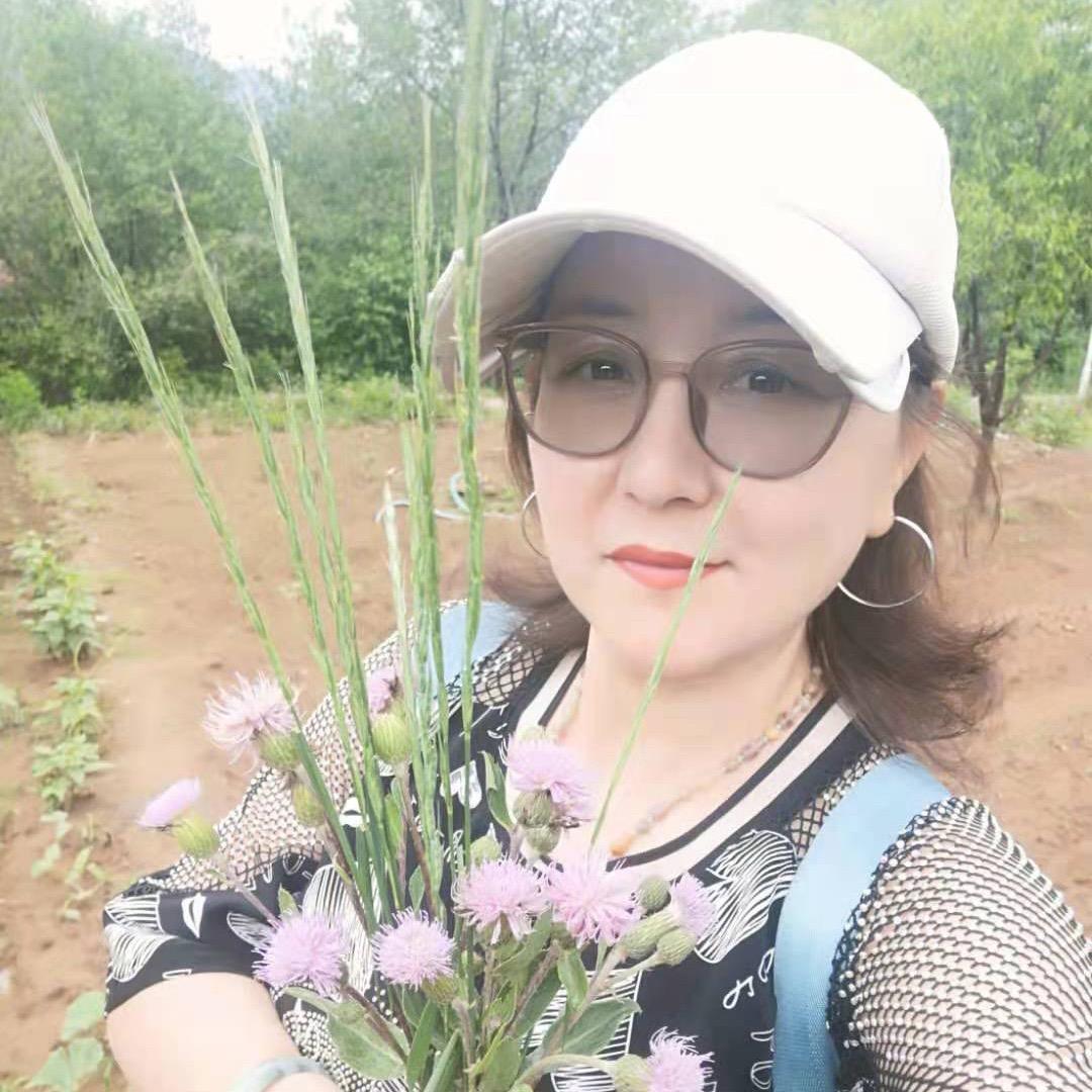 含羞草～红姐（田园时光）