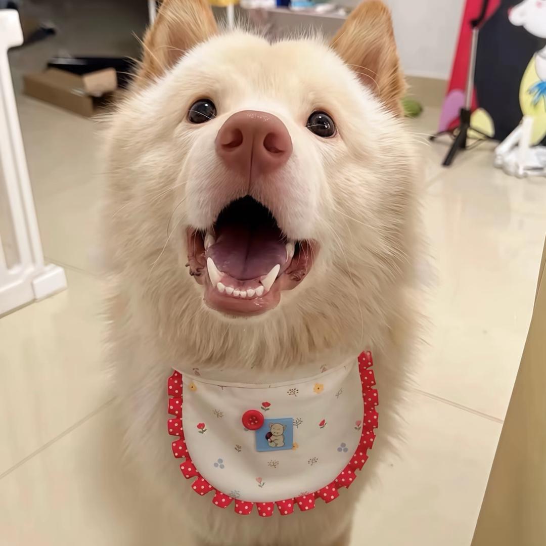 豆汁.