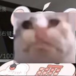 麦小区大王