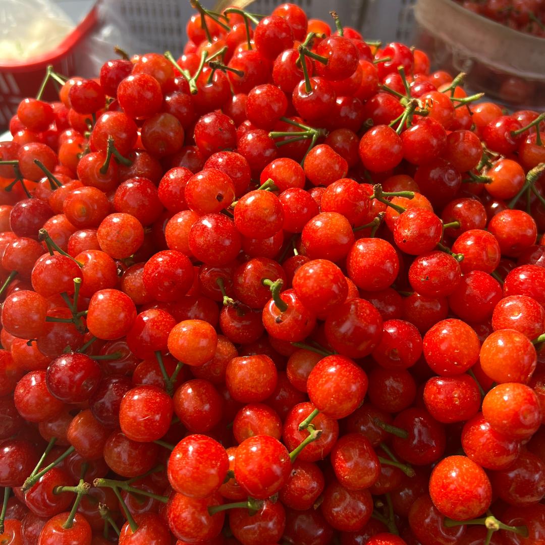 涛哥哥生态果园分园