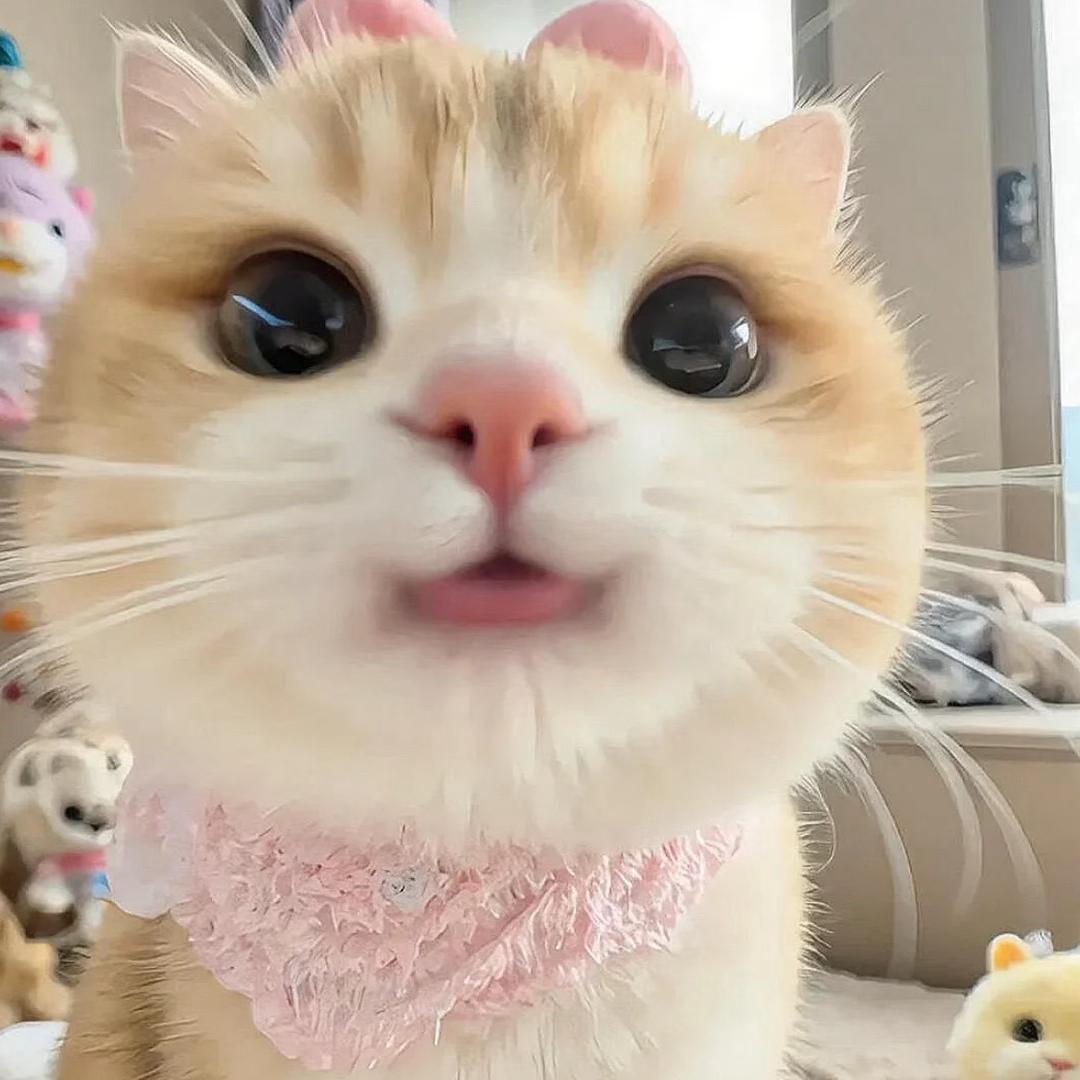 阿西