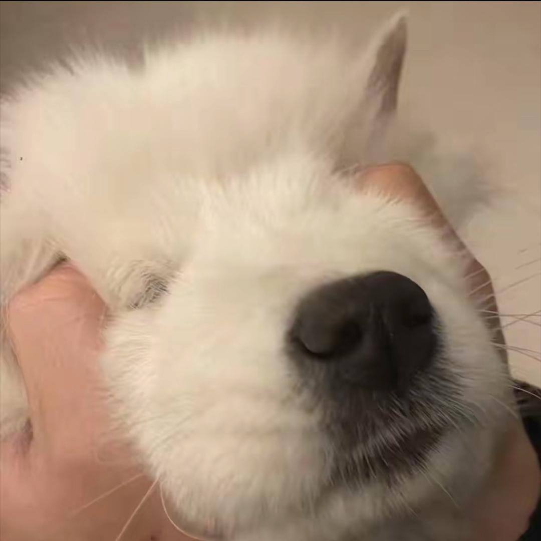 穷人