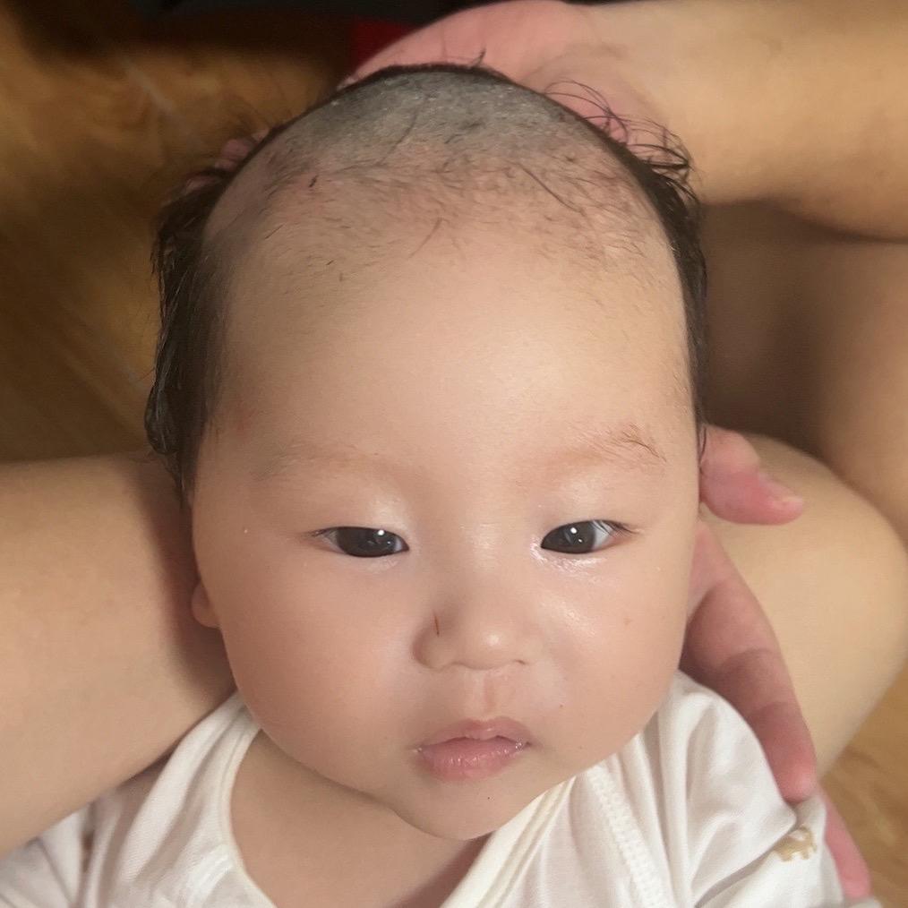 宸爸