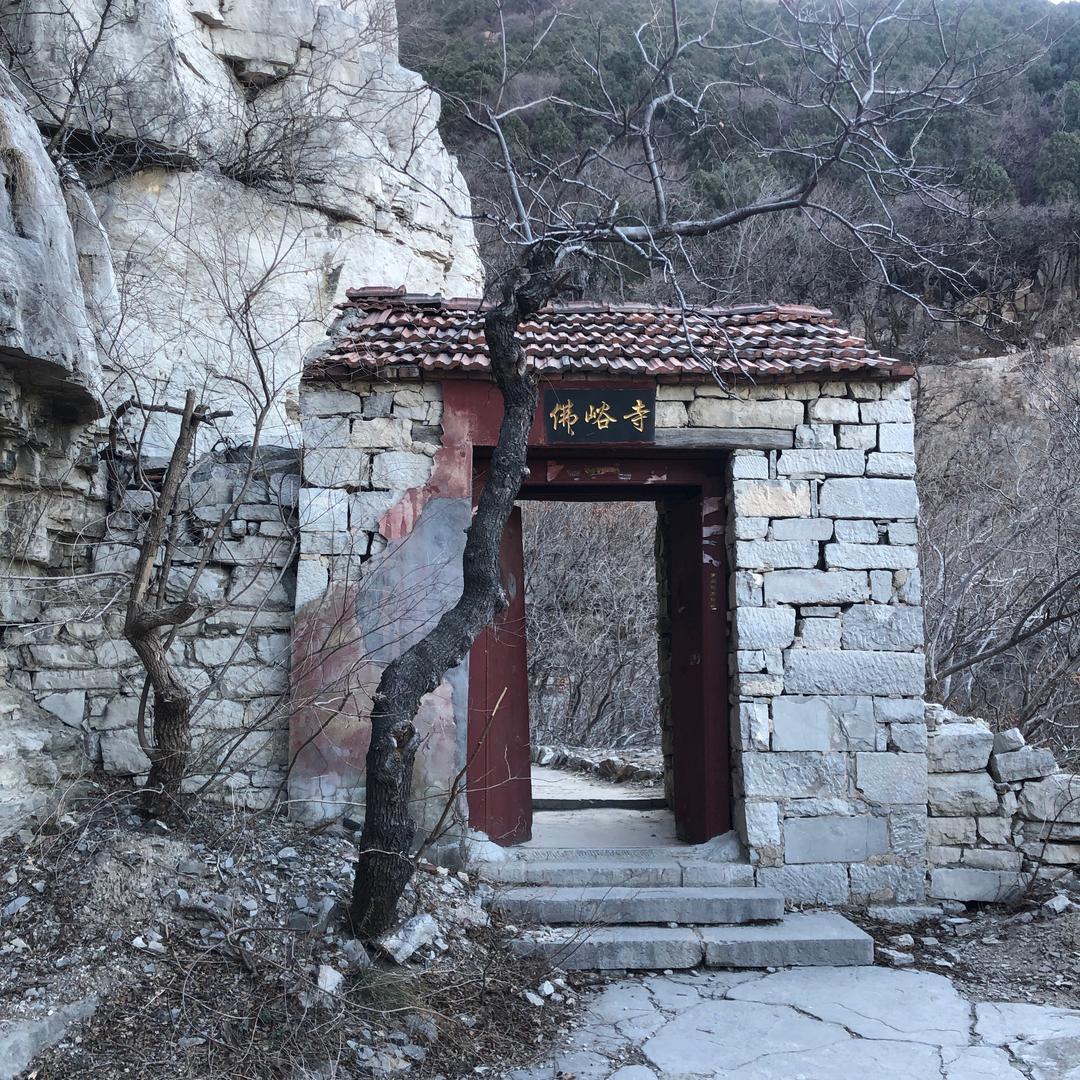 不语却知心