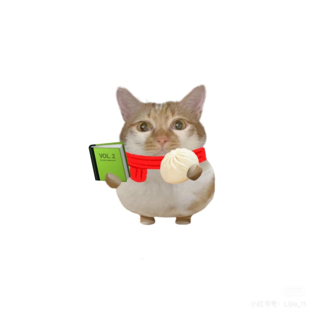 真没tou井盖
