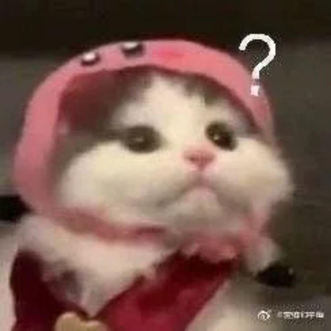 忧郁卷心菜