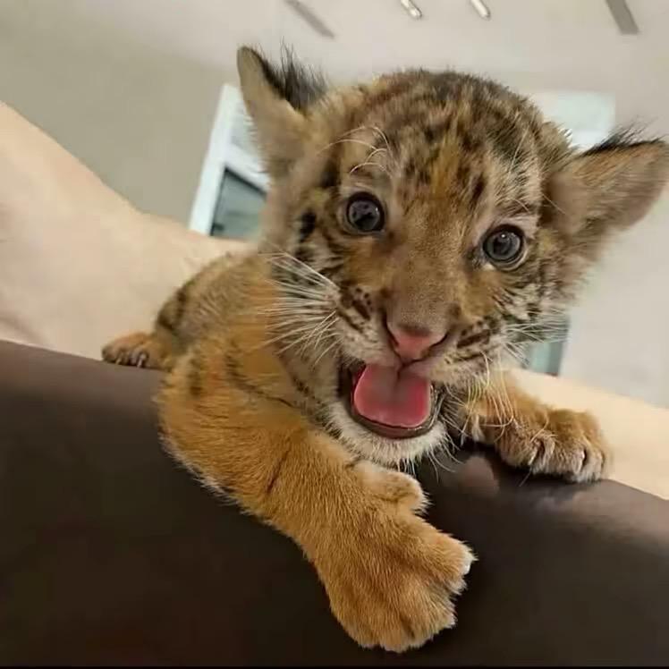 ￴￴￴ ￴￴ ￴￴￴ ￴￴ ￴