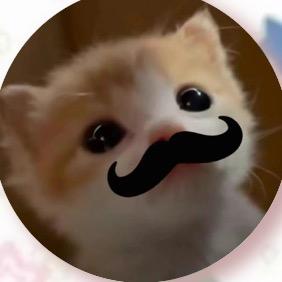 芮芮（求推荐版）